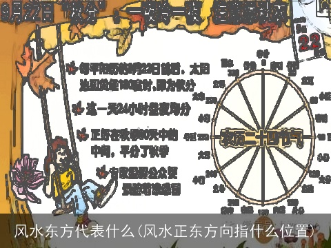 风水东方代表什么(风水正东方向指什么位置)