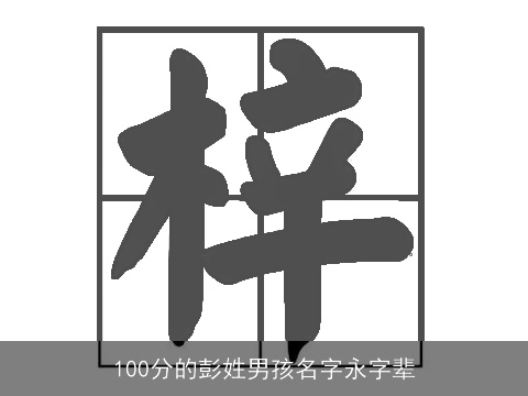 100分的彭姓男孩名字永字辈