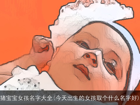 猪宝宝女孩名字大全(今天出生的女孩取个什么名字好)