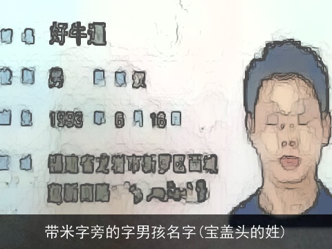带米字旁的字男孩名字(宝盖头的姓)