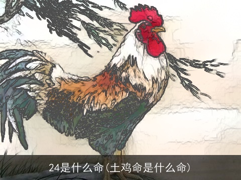 24是什么命(土鸡命是什么命)