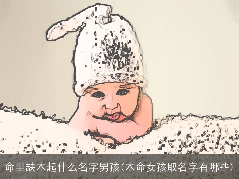 命里缺木起什么名字男孩(木命女孩取名字有哪些)