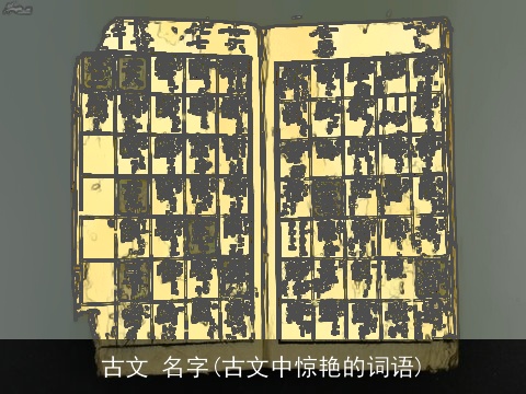 古文 名字(古文中惊艳的词语)