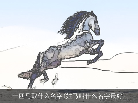 一匹马取什么名字(姓马叫什么名字最好)