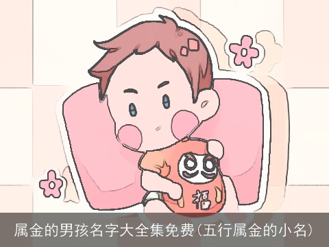 属金的男孩名字大全集免费(五行属金的小名)