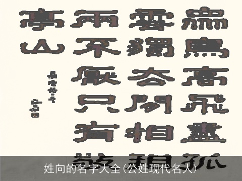 姓向的名字大全(公姓现代名人)