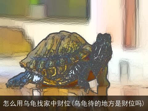 怎么用乌龟找家中财位(乌龟待的地方是财位吗)