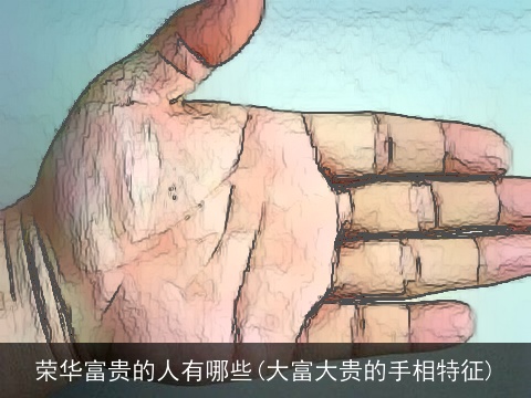 荣华富贵的人有哪些(大富大贵的手相特征)