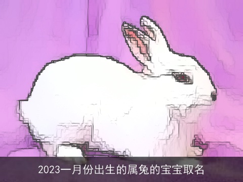 2023一月份出生的属兔的宝宝取名