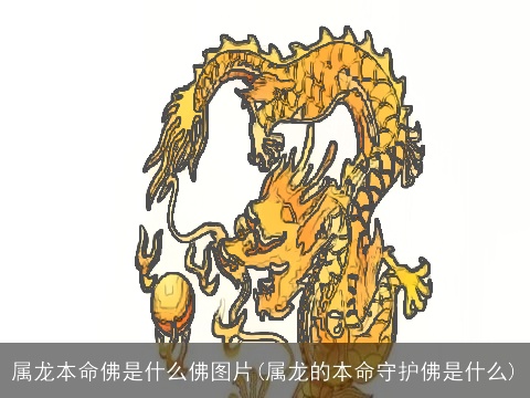 属龙本命佛是什么佛图片(属龙的本命守护佛是什么)