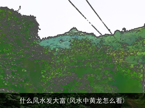 什么风水发大富(风水中黄龙怎么看)