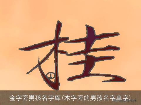 金字旁男孩名字库(木字旁的男孩名字单字)