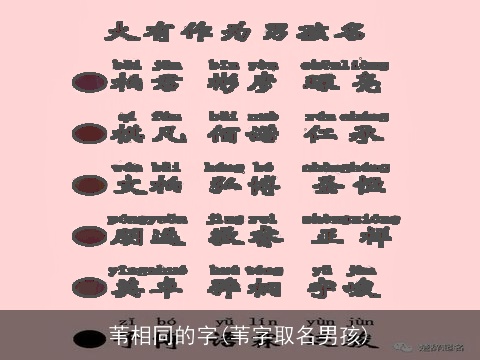 苇相同的字(苇字取名男孩)