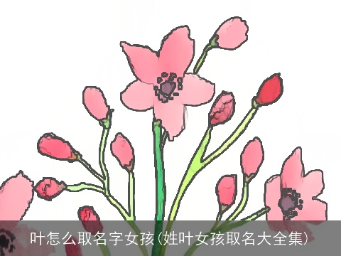 叶怎么取名字女孩(姓叶女孩取名大全集)