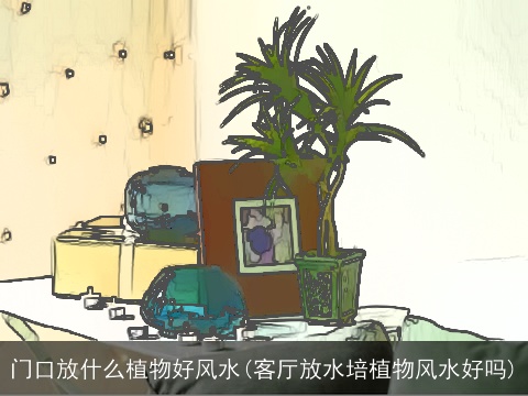门口放什么植物好风水(客厅放水培植物风水好吗)