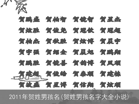 2011年贺姓男孩名(贺姓男孩名字大全小说)