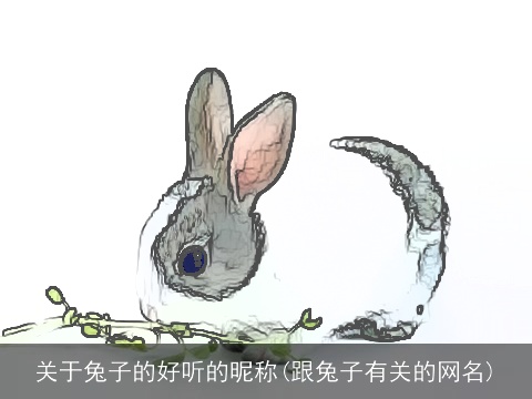 关于兔子的好听的昵称(跟兔子有关的网名)