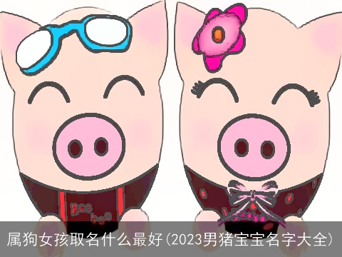 属狗女孩取名什么最好(2023男猪宝宝名字大全)