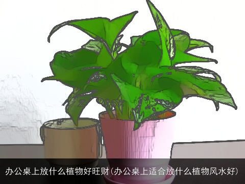 办公桌上放什么植物好旺财(办公桌上适合放什么植物风水好)