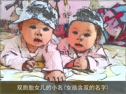 双胞胎女儿的小名(女孩含双的名字)