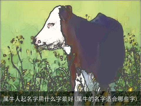 属牛人起名字用什么字最好(属牛的名字适合哪些字)