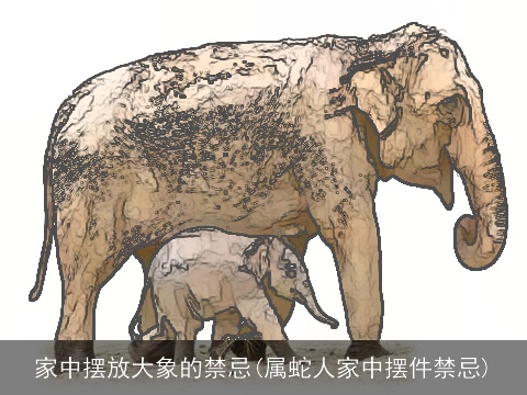 家中摆放大象的禁忌(属蛇人家中摆件禁忌)