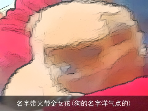 名字带火带金女孩(狗的名字洋气点的)