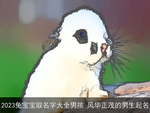 2023兔宝宝取名字大全男孩 风华正茂的男生起名