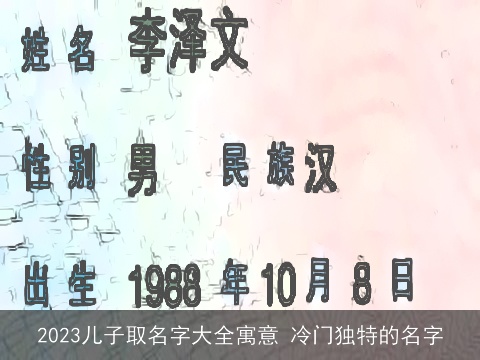 2023儿子取名字大全寓意 冷门独特的名字