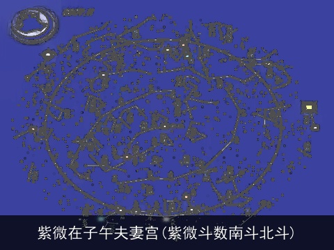 紫微在子午夫妻宫(紫微斗数南斗北斗)