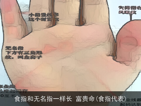 食指和无名指一样长 富贵命(食指代表)