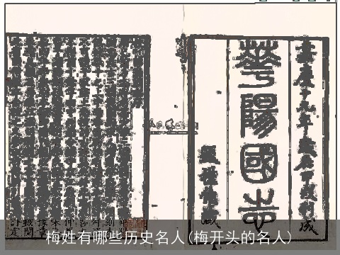 梅姓有哪些历史名人(梅开头的名人)