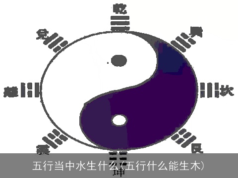 五行当中水生什么(五行什么能生木)