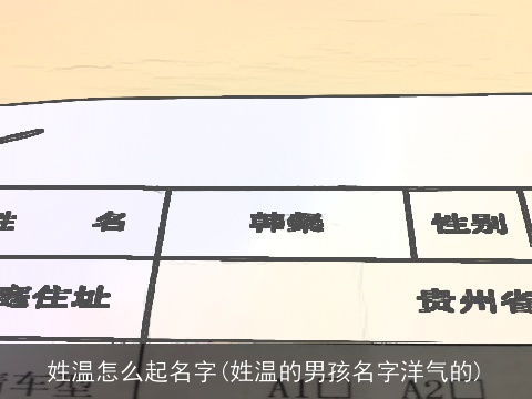 姓温怎么起名字(姓温的男孩名字洋气的)