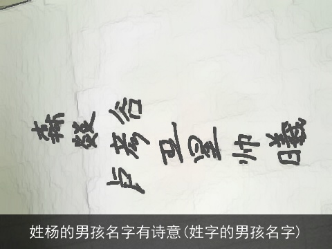 姓杨的男孩名字有诗意(姓字的男孩名字)