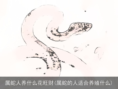 属蛇人养什么花旺财(属蛇的人适合养殖什么)