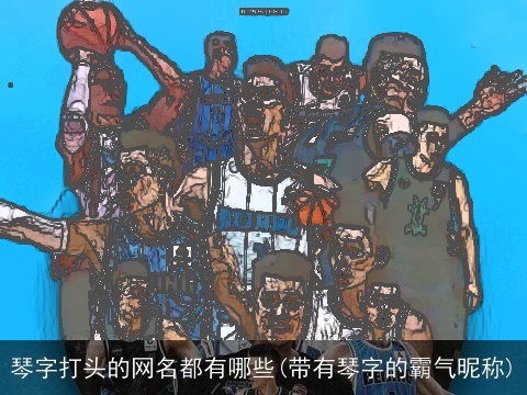 琴字打头的网名都有哪些(带有琴字的霸气昵称)