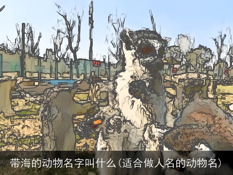 带海的动物名字叫什么(适合做人名的动物名)