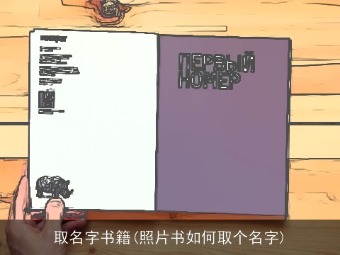 取名字书籍(照片书如何取个名字)