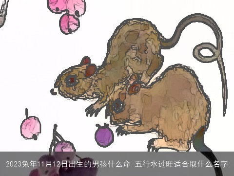 2023兔年11月12日出生的男孩什么命 五行水过旺适合取什么名字