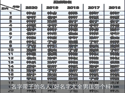 名字带子的名人(好名字大全男孩带个梓)