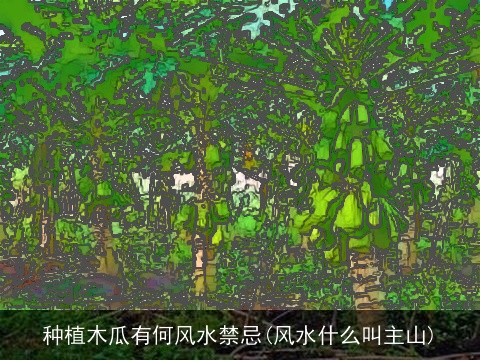 种植木瓜有何风水禁忌(风水什么叫主山)