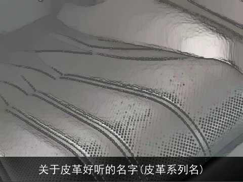 关于皮革好听的名字(皮革系列名)