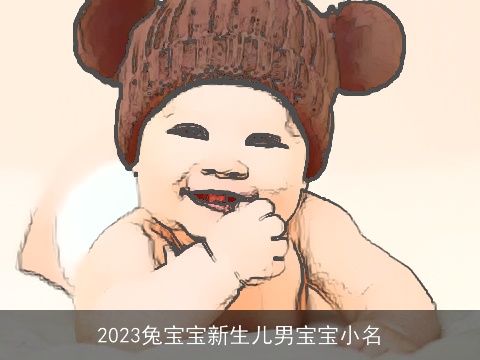 2023兔宝宝新生儿男宝宝小名