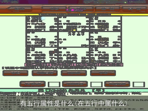 有五行属性是什么(在五行中属什么)