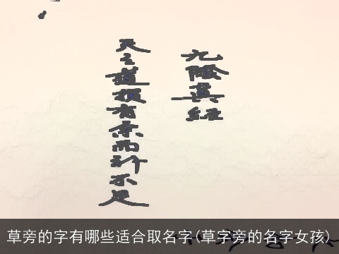 草旁的字有哪些适合取名字(草字旁的名字女孩)
