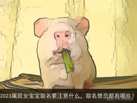 2023属鼠女宝宝取名要注意什么，取名禁忌都有哪些？