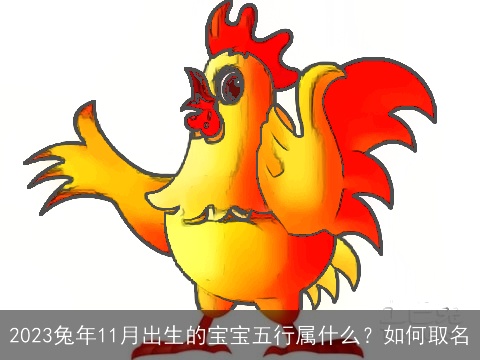 2023兔年11月出生的宝宝五行属什么？如何取名