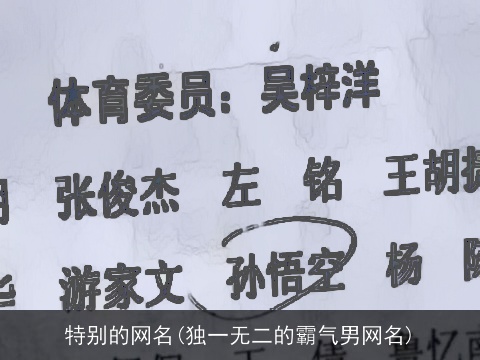特别的网名(独一无二的霸气男网名)