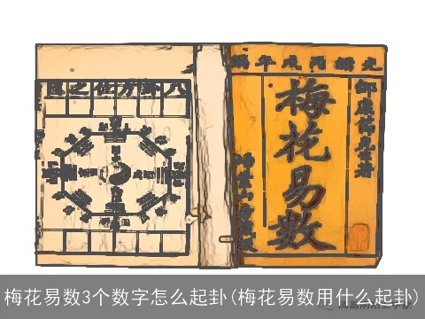 梅花易数3个数字怎么起卦(梅花易数用什么起卦)
